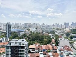 Kopar At Newton (D9), Apartment #545824301